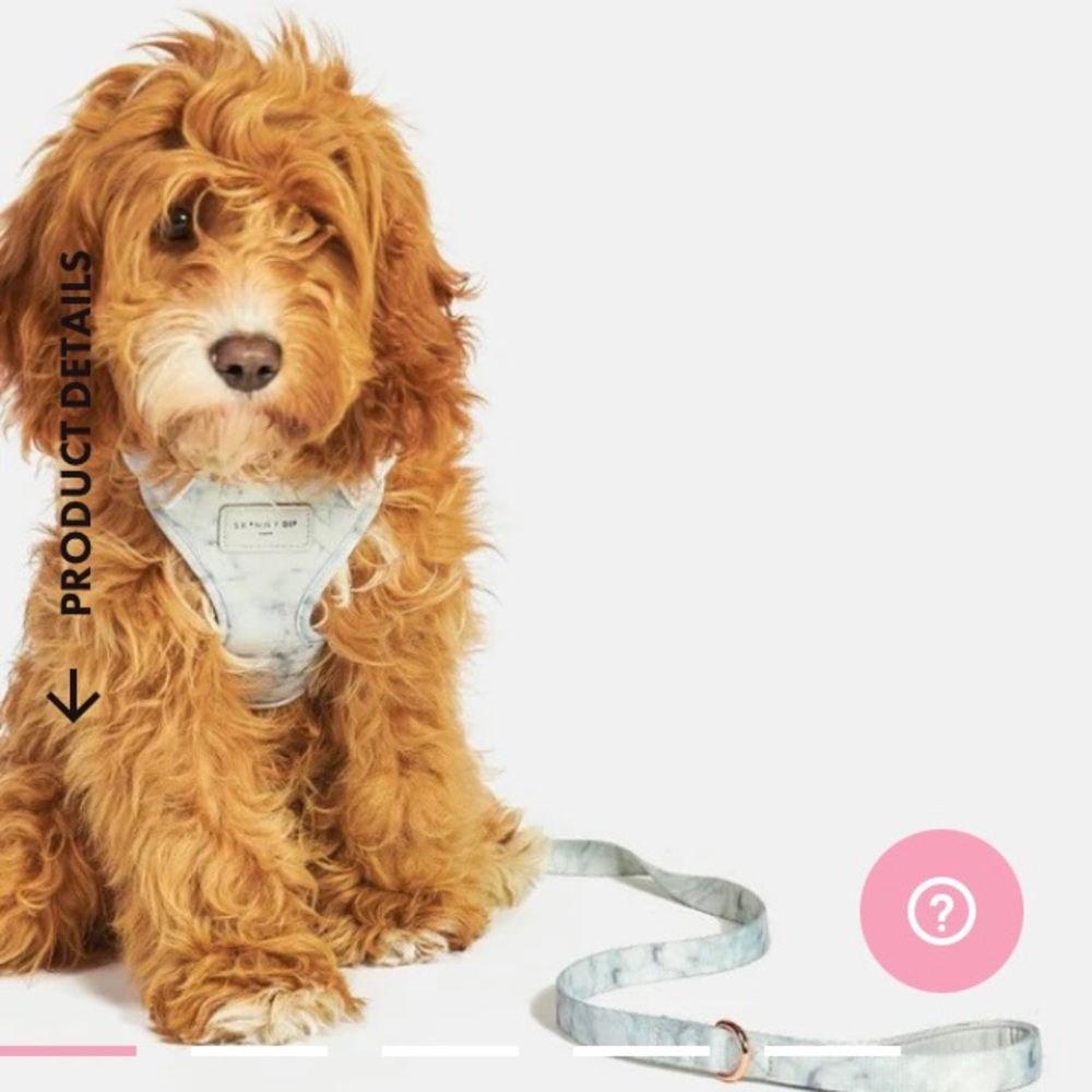 Skinny dip Dog Harness and Lead set